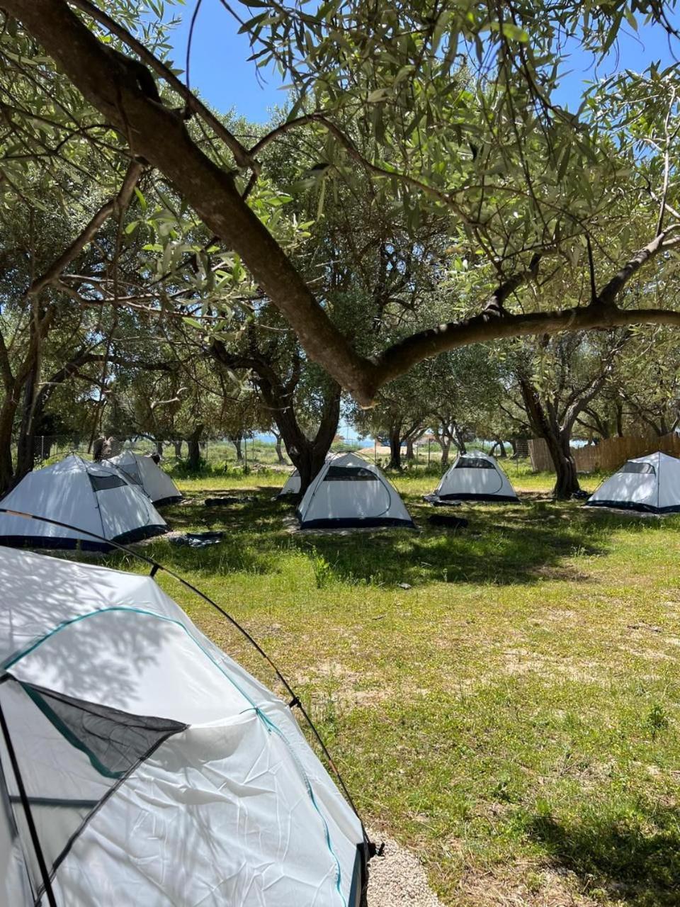 Borsh Olive Camping Hotell Eksteriør bilde