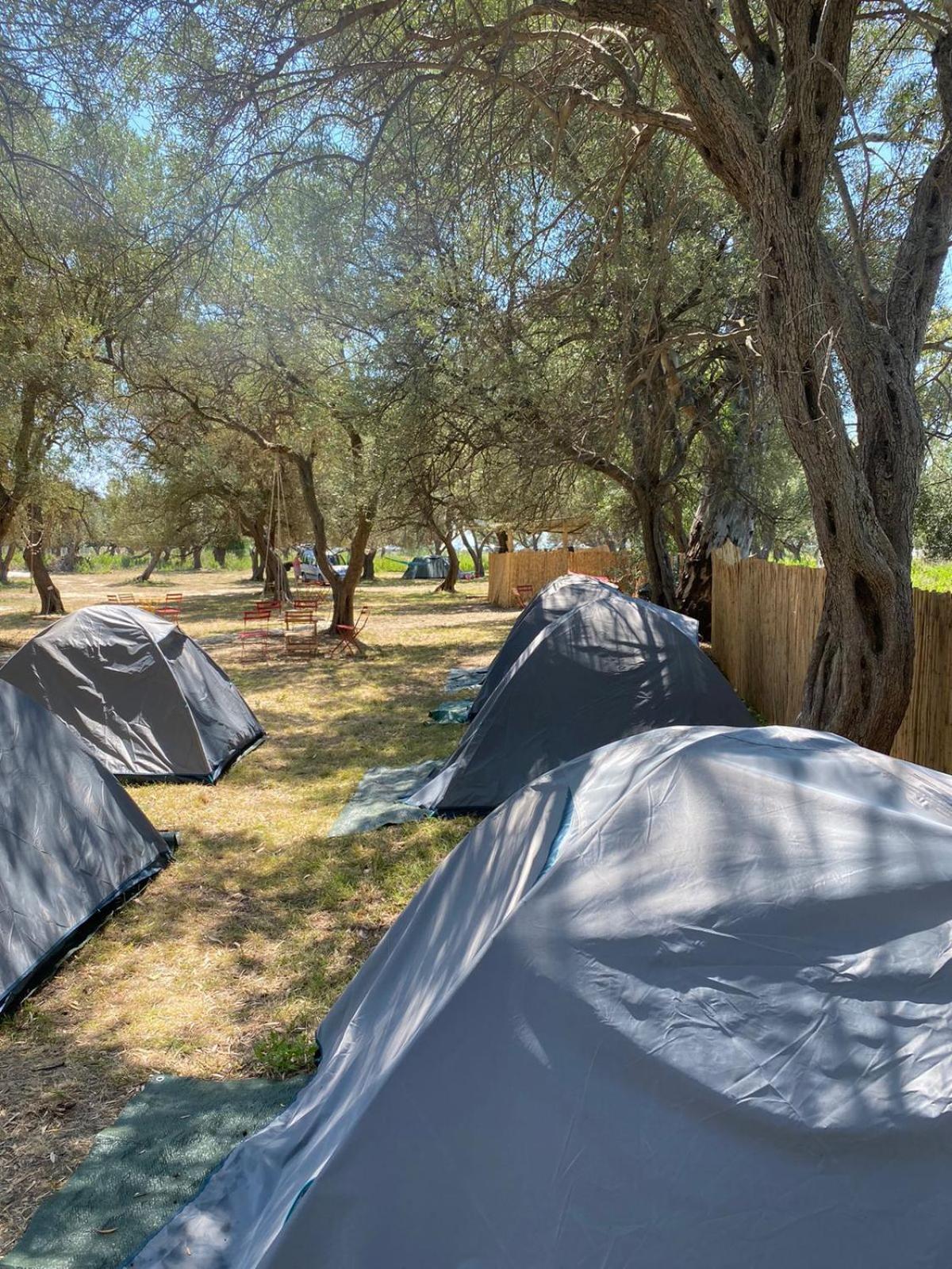 Borsh Olive Camping Hotell Eksteriør bilde